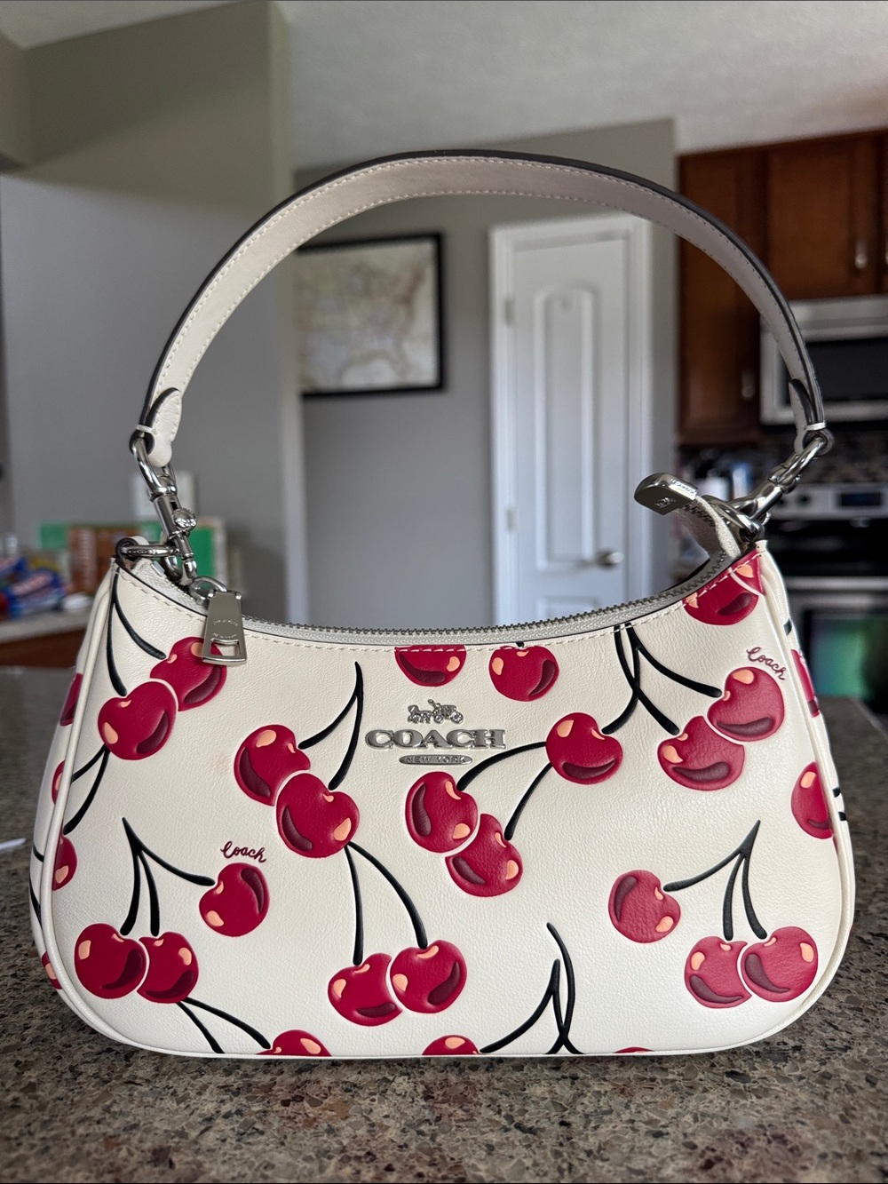 πCoachTeri Shoulder Bag With Cherry Print #CZ774π LIKE NEWπ - Picture 3 of 17